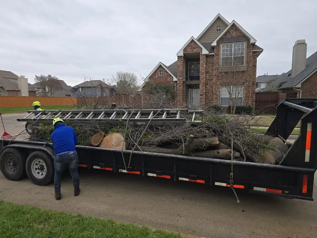Expert Lot Clearing with proper safety equipment in Potsdam